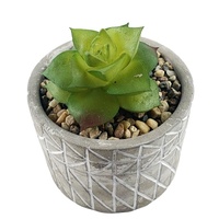 Fabricant de pots de fleurs, vente en gros de pots pour plantes, plantes artificielles, pots en ciment, motif gris artistique