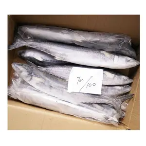 Frozen whole round king fish/spanish mackerel fish for sale