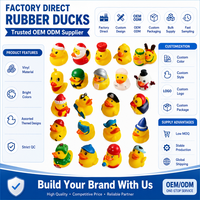 Canards en caoutchouc assortis, mini-canards en vinyle, pack de styles variés, jouet pour enfants, cadeau de Noël, fête, bain, nouveauté, fournisseur en gros