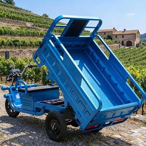 China Electric Three-Wheel Adult Tricycle Motorcycle 60v Motorized Tricycles for Cargo and Passenger Use - Product Image 3