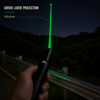 Petite poignée répulsif à oiseaux bouton de contrôle vert poignée lampe de poche Laser répulsif à oiseaux extérieur