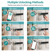 Cerradura Inteligente con Huella Dactilar SJJ, TTLock, Aplicación Tuya, Teclado Táctil, Tarjeta RFID, Entrada sin Llave, Puerta de Aluminio, Nube, Apartamento, Hotel