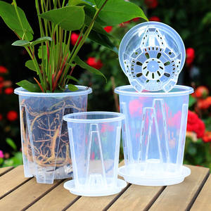 JQ Phalaenopsis หม้อควบคุมรากกล้วยไม้, เทียนดอกอโลเซีย, กระถางดอกไม้โปร่งใสแบบกลวงแครนเบอร์รี่กำมะหยี่ - Product Image 4