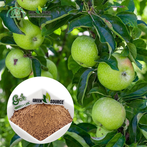<strong>Green</strong> Life Herb High Content <strong>Green</strong> <strong>Apple</strong> <strong>Extract</strong> Polyphenol 70% UV <strong>apple</strong> Fruit <strong>Extract</strong> - Product Image 1