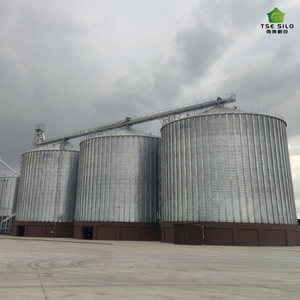 Silos à fèves à fond plat en acier galvanisé à chaud de haute qualité, marque TSE, certifiés ISO9001 et CE, TCK <span class=keywords><strong>12500T</strong></span>, pour élevages de poulets - Product Image 5