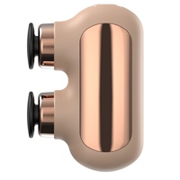 Mini pistolet de massage à double tête, moteur sans balais, masseur de percussion des tissus profonds, appareil de récupération musculaire portable