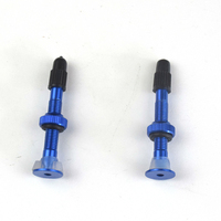 Toolon Nouveau pneu plein coloré personnalisable sans chambre à air avec valve Presta pour VTT en alliage de zinc pour gonflage et dégonflage