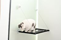 Meilleure vente éprouvée : Lit pour chat à fixer sur fenêtre, structure en tube PVC durable, couleur personnalisable, boîte disponible, ventes annuelles de 100 000 pièces