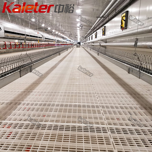 Rejilla de Plástico para Pisos de Gallineros, para Cría de Gallinas Ponedoras y Pollos de Engorde, Rejilla Elevada para Aves de Corral - Product Image 4