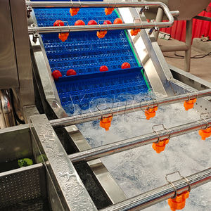 เครื่องล้างและคัดแยกผลไม้เสาวรส - Product Image 5