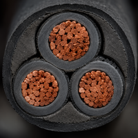 Cable de Alimentación de 3 Núcleos con Aislamiento de Goma de 250V, Conductor de Cobre de 1.5-240 mm², Cable de Suministro Eléctrico Subterráneo Industrial