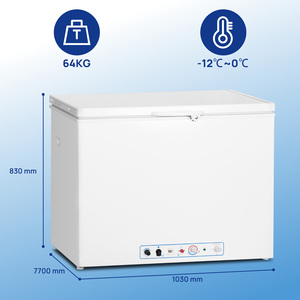 <span class=keywords><strong>Congelatore</strong></span> <span class=keywords><strong>a</strong></span> <span class=keywords><strong>pozzetto</strong></span> <span class=keywords><strong>a</strong></span> gas GPL <span class=keywords><strong>a</strong></span> basso consumo energetico, silenzioso, con apertura superiore e porta singola, ideale per la conservazione degli alimenti <span class=keywords><strong>a</strong></span> <span class=keywords><strong>prezzi</strong></span> vantaggiosi - Product Image 4