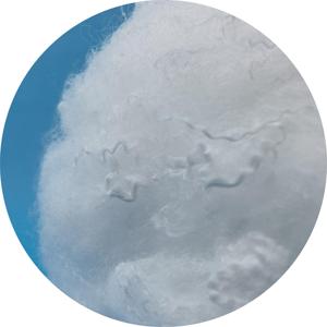 3D 32mm holofiber phụ Polyester STAPLE sợi để làm đầy - Product Image 2