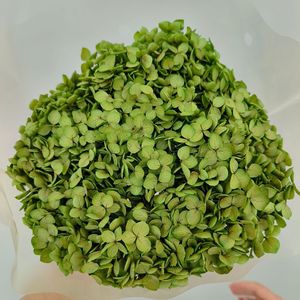 Vente d'usine : <span class=keywords><strong>Fleurs</strong></span> d'<span class=keywords><strong>hortensia</strong></span> vert foncé <span class=keywords><strong>stabilisées</strong></span>, faites à la main, au toucher réel, préservées pour la décoration intérieure, longue durée (3-5 ans) - Product Image 2