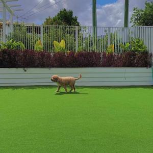 Sân cỏ nhân tạo mô phỏng sân cỏ nhân tạo mẫu giáo hàng rào bóng đá phủ xanh sân cỏ nhựa thảm cỏ - Product Image 2