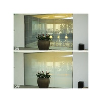 Film certifié CE Fenêtre électronique invisible commutable Pdlc Smart Glass Panneau en verre plat solide ultra clair