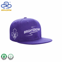2026 Mode Stijlvolle Flat Brim Baseball Cap Effen Kleuren Hip Hop Stijl Snapback Caps voor Street Party Wear met geborduurd logo