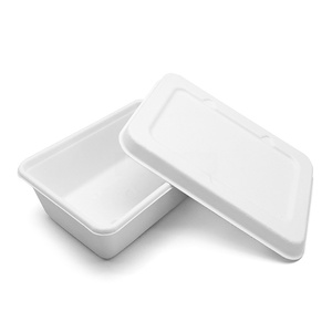 Cajas de Comida Clásicas Blancas Ecológicas Desechables de Bagazo Hechas a Medida al por Mayor, 650ml, Rectangulares, Biodegradables - Product Image 3