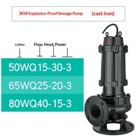Pompe submersible industrielle anti-colmatage haute efficacité 380V pour le drainage des fosses d'usine
