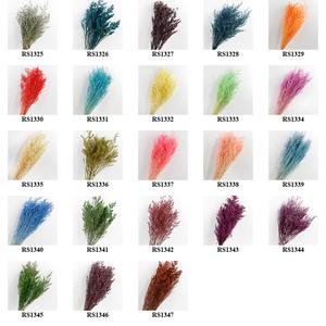 Herbe d'amour de fleur séchée romantique colorée Desmodium Gyran pour des décorations - Product Image 4