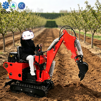 Mini-excavatrice hydraulique, machine de terrassement compacte à haute efficacité, conforme aux normes Euro 5 EPA, pour usage domestique