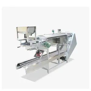 เครื่องทำเส้นก๋วยเตี๋ยวเส้นสปาเกตตี้แบบอัตโนมัติอุปกรณ์นึ่งเส้นบะหมี่จีน - Product Image 1