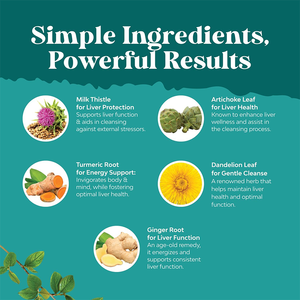 Complément alimentaire naturel pour la santé du foie, marque privée OEM, 60 ml, gouttes liquides détoxifiantes pour nettoyer en profondeur le foie avec du chardon-marie - Product Image 2