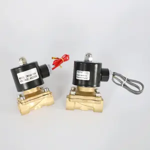 best selling manufacturer wholesale 2w series brass fluid control 220v 2 way lpg gas solenoid valve 220v 1/2 inch