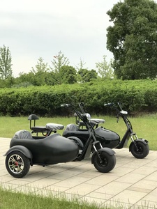 Motocyclette à side-car à 3 roues électrique <span class=keywords><strong>pliable</strong></span> avec side-car de transport, scooter <span class=keywords><strong>tricycle</strong></span>, kit side-car pour chiens et enfants - Product Image 5
