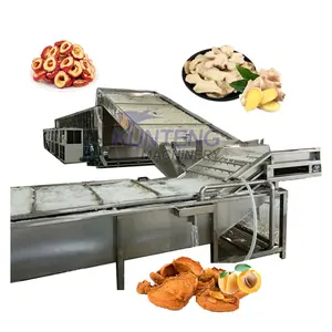 Full dried vegetable and fruit pumpkin peach lemon coconut copra cutter washing and drying machine dry equipment treatment line