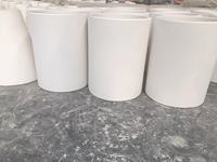 Isolateur de tension en porcelaine électrique pour précipitateur électrostatique, fabriqué en Chine