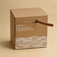 Boîte d'expédition avion robuste à bande de déchirement, emballage plat peu encombrant en carton ondulé rigide pour la logistique en gros, logo personnalisé