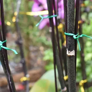花园植物钢丝扭结扎袋封口采用预切彩色塑料涂层铁丝扭结扎带