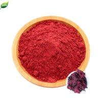 KLIFE Poudre de roselle naturelle soluble dans l'eau Poudre de fleur d'hibiscus Poudre d'hibiscus