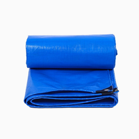 Offres Spéciales – Bâche de Serre/Extérieur en PE Tissé, 100% Matériaux Neufs, Anti-Taches, Imperméable, Anti-UV, Enduite, pour Usage Industriel