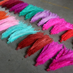 Plumas de Avestruz <span class=keywords><strong>Nandu</strong></span> Teñidas de Azul de 50 cm para Decoración de Jarrones, Manualidades, Sombreros, Sombrerería y Tocados para Fiestas, Hogar y Bodas - Product Image 4