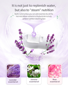 Mini vaporizador facial portátil profesional, máquina de vapor iónico nano, venta al por mayor - Product Image 6