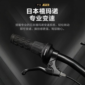 จักรยานพับได้ Philips F3 ขนาด 20 นิ้ว โครงอลูมิเนียมอัลลอยด์ พกพาสะดวก สำหรับผู้ใหญ่ พร้อมดิสก์เบรก - Product Image 4