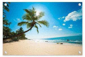 Ocinkjet Mực In Phun Mực In <span class=keywords><strong>Offset</strong></span> Uv Mềm Cứng Mực Máy In Dtf Uv Vô Hình Led Cho Máy In <span class=keywords><strong>Epson</strong></span> Xp600 Tx800 L1440 - Product Image 6