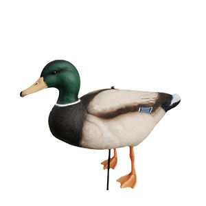 Canard d'EVA avec des leurres debout de canard de flotteur de posture de tête verte pour la chasse de sports en plein air - Product Image 1