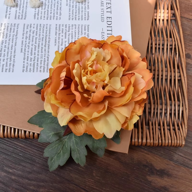 Couleur orange 15cm