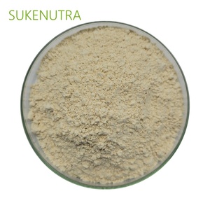 Poudre d'extrait de <span class=keywords><strong>concombre</strong></span> de mer séché de qualité supérieure - Product Image 2