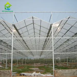 农业蔬菜植物聚碳酸酯板Venlo铝框架多跨温室待售