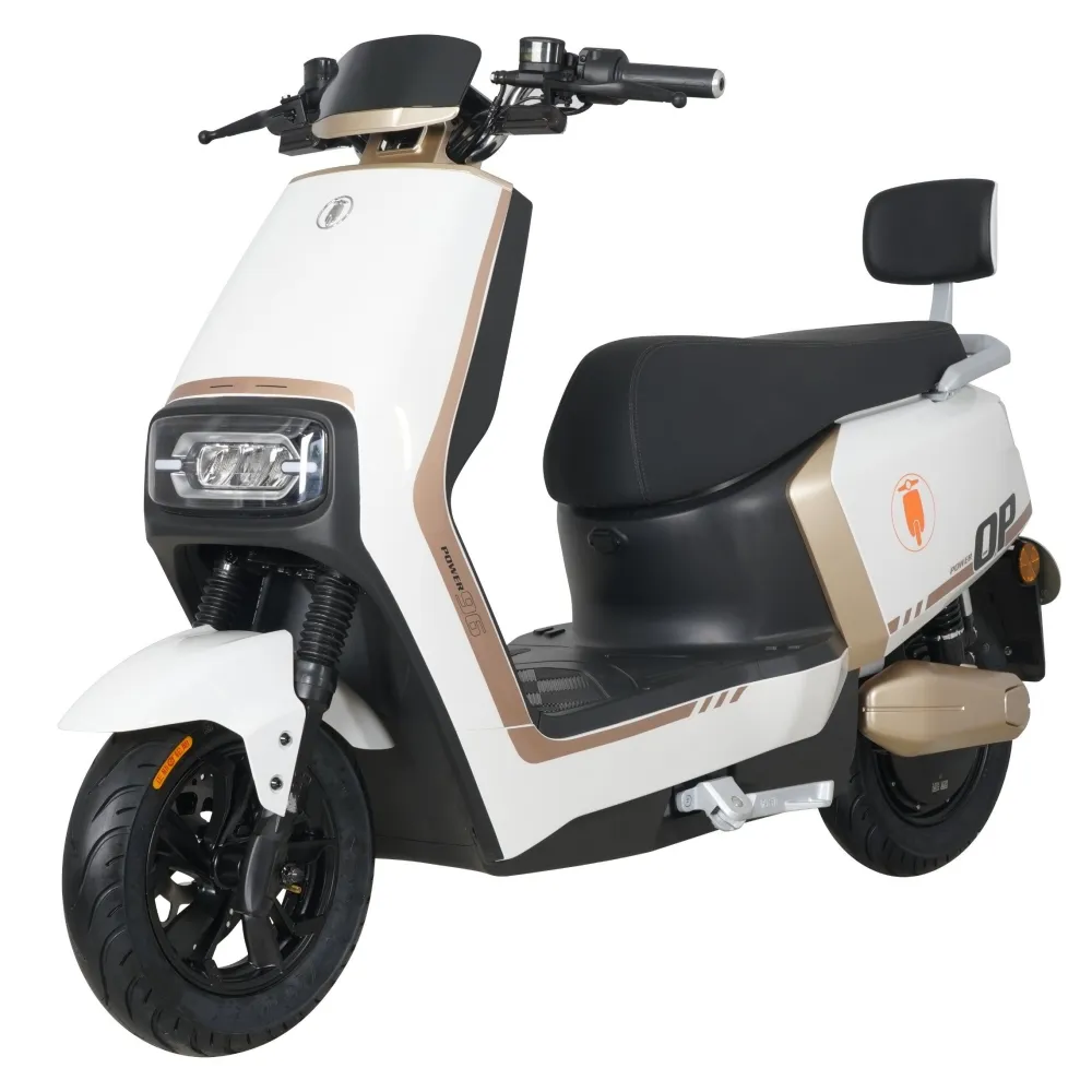 800W di alta qualità Citycoco mobilità Scooter moto elettrico