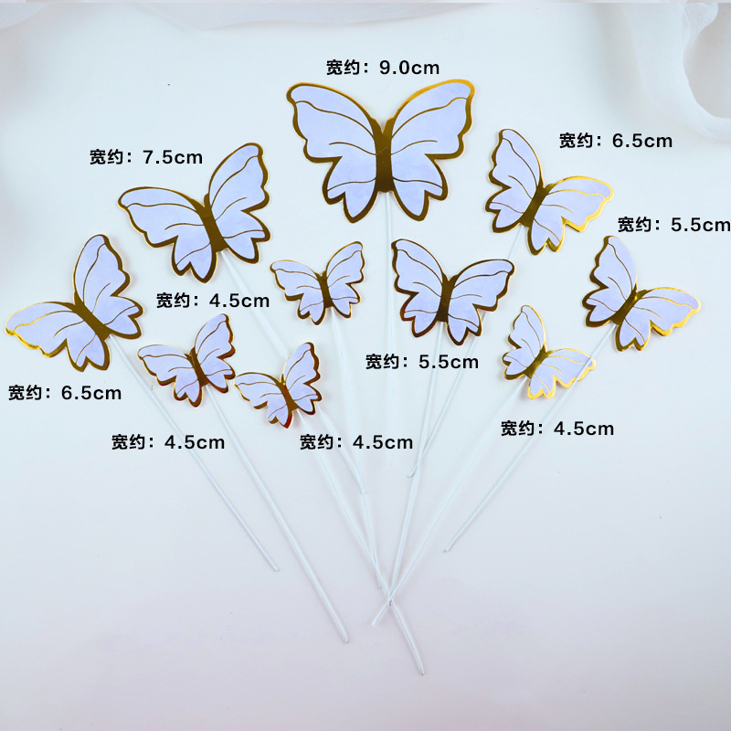 Butterfly-06