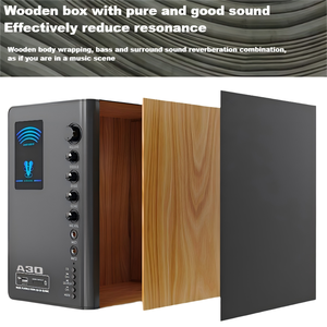 Sistema Audio Professionale 2.1 HIFI con Altoparlanti da 5 Pollici in Legno, Home Theater, Karaoke, Stereo Hi-Fi con Bassi Potenti, Blu, con Doppio Microfono Integrato - Product Image 2