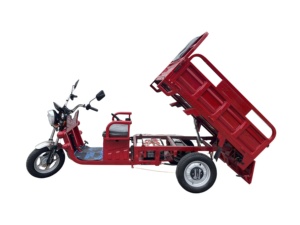 Triciclo Eléctrico de <span class=keywords><strong>3</strong></span> <span class=keywords><strong>Ruedas</strong></span> con Carrocería Abierta 2026, Motocicleta de Carga de 60V para Entrega de Alimentos, Triciclo Agrícola Volquete, Triciclo de 1 Tonelada y <span class=keywords><strong>3</strong></span> <span class=keywords><strong>Ruedas</strong></span> - Product Image 2