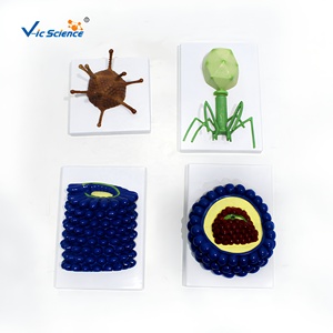 Juego de <span class=keywords><strong>4</strong></span> Modelos de Estructura de Virus, Modelo Anatómico de Microorganismos Ampliados, Material Didáctico para Laboratorio Biológico y Escuela, CE/ISO/ROHS/CNAS - Product Image 1