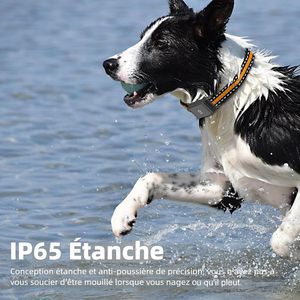 Collier GPS Elecpet pour animaux de compagnie : localisation en temps réel pour prévenir la perte avec historique de trajectoire, sans abonnement mensuel, pour chiens et chats - Product Image 4