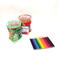 Coffret de 80 crayons de couleur courts en tube PVC, crayons en bois, crayons de cire pour enfants, pinceaux de peinture